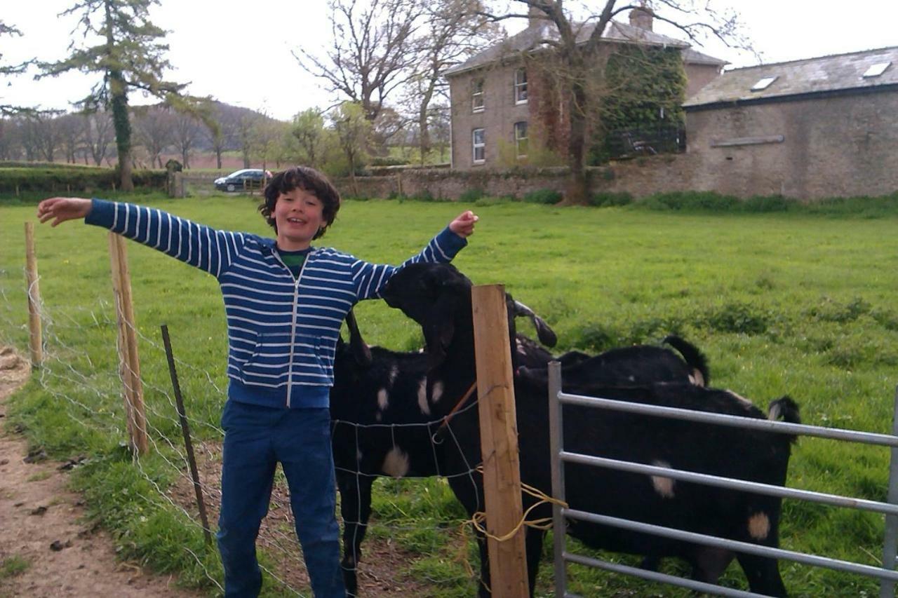 Glanwye Apartment Hay-On-Wye Bagian luar foto