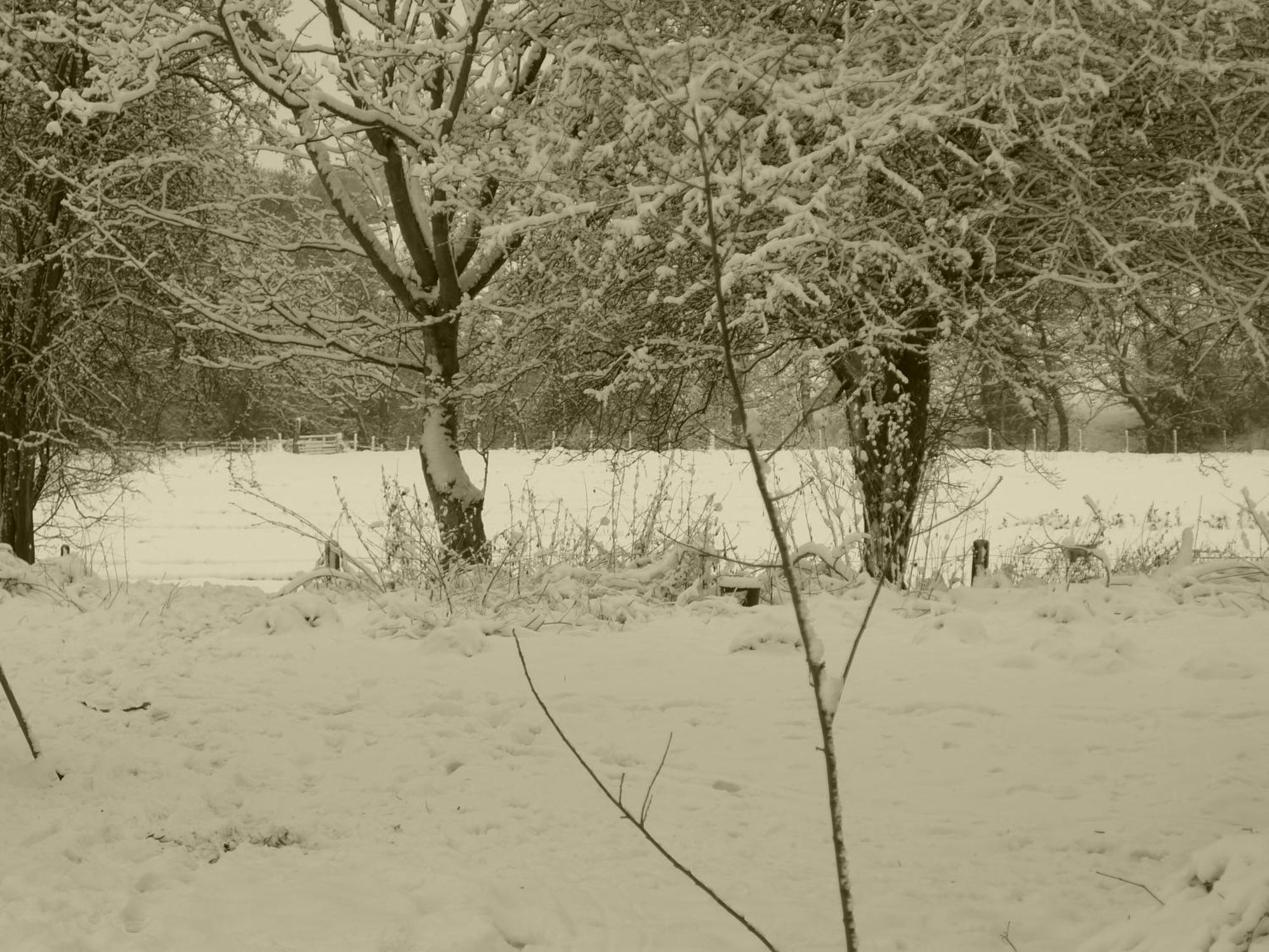 Glanwye Apartment Hay-On-Wye Bagian luar foto